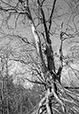 Against the Elements 18